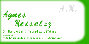 agnes meiselsz business card